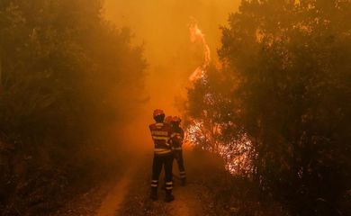 A agência especializada da ONU alerta para novas ondas intensas de calor este ano na Europa, que podem fomentar incêndios, como o ocorrido recentemente em Portugal