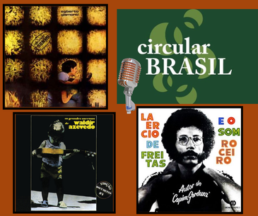 Circular Brasil - 27-11-22 - Pgm 185