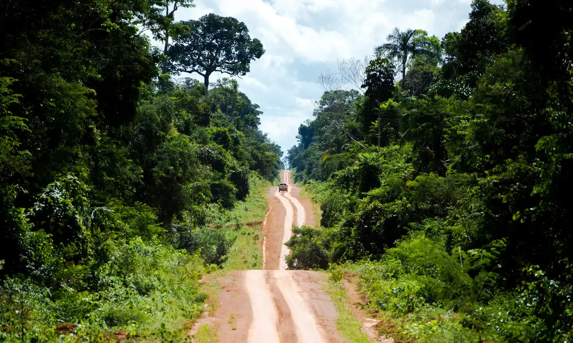 Estrada que leva ao distrito de Guariba e marca o limite da  Terra Indígena Kawahiva do Rio Pardo (Marcelo Camargo/Agência Brasil)