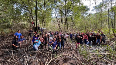 Projeto Mangues da Amazônia/Divulgação Brasília (DF) 28/01/2025 - Educação Ambiental aproxima estudantes do maior manguezal do planeta.
Foto: Projeto Mangues da Amazônia/Divulgação