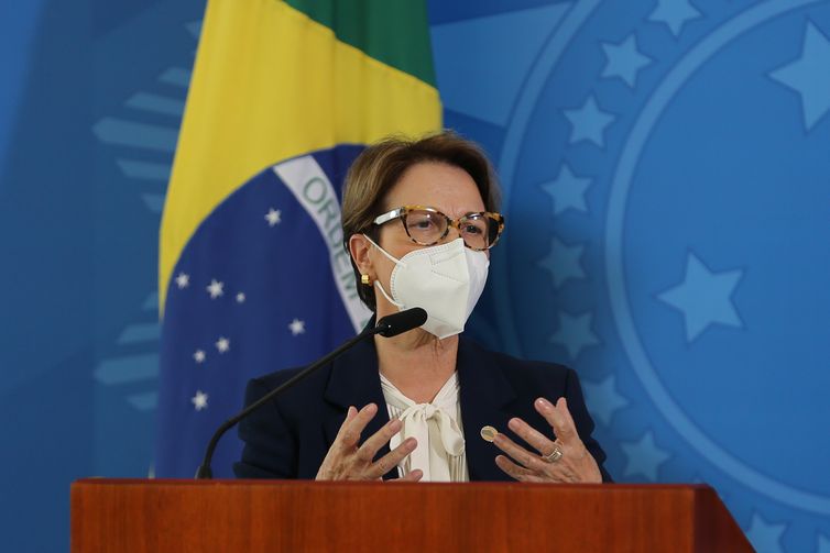 A ministra da Agricultura, Teresa Cristina, fala à imprensa, após reunião do Grupo de Trabalho Interministerial para elaboração do Plano Nacional de Fertilizantes.