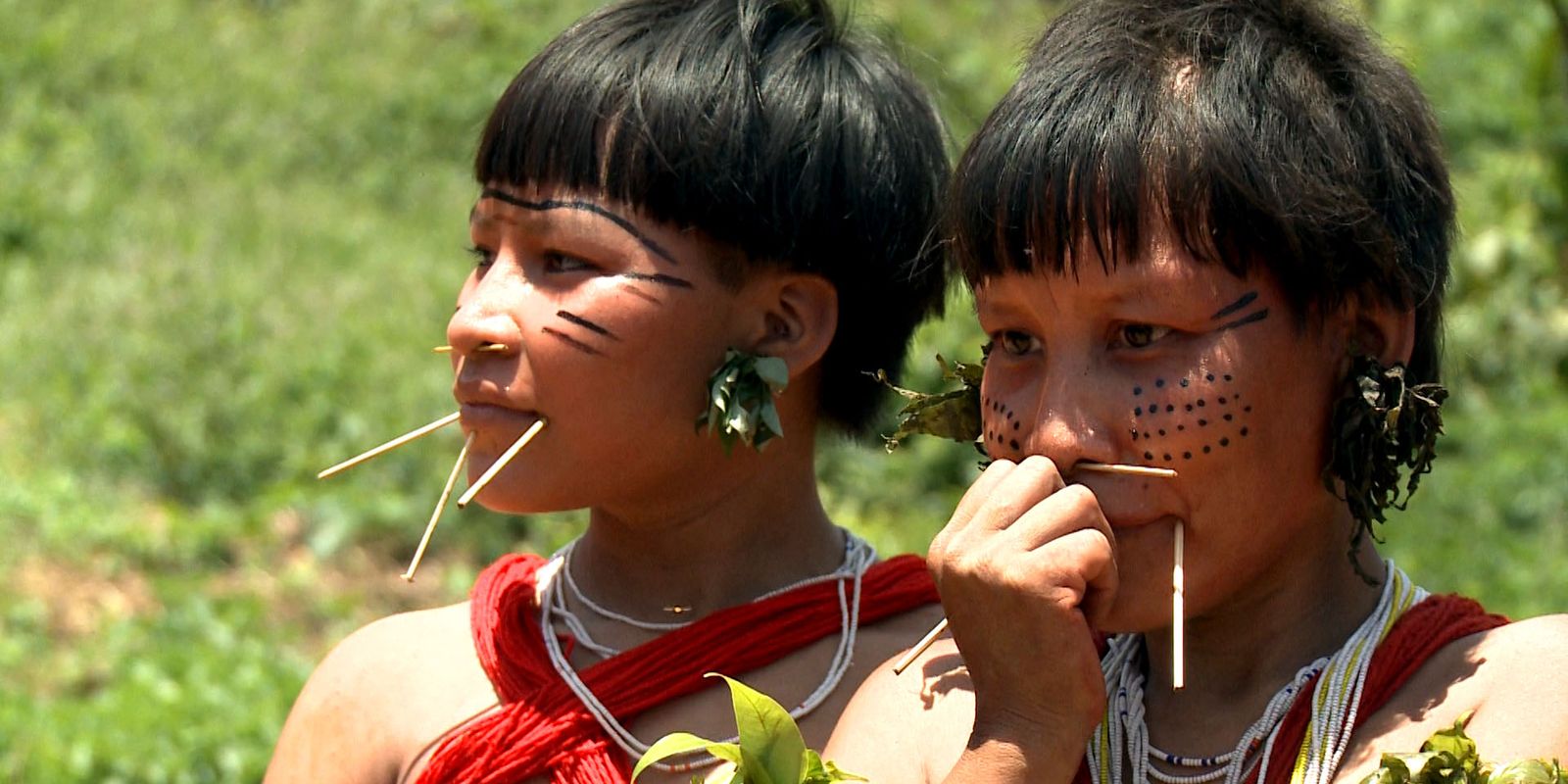More than half of the Yanomami live in threatened health conditions
