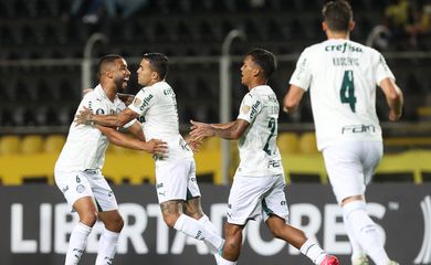 Libertadores, Palmeiras, Deportivo Táchira