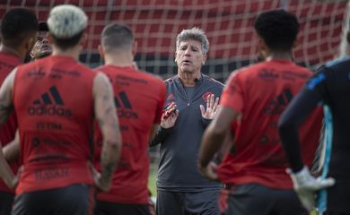 renato gaúcho, treino flamengo