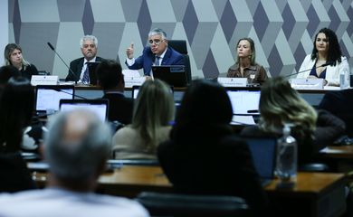 Brasília (DF) 13/07/2023 Comissão de Segurança Pública do Senado durante audiência para debater questões sobre as prisões ocorridas em 8 de janeiro. Foto Lula Marques/ Agência Brasil.