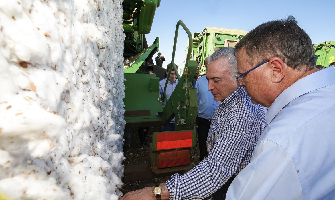Sinop/MT - Presidente Michel Temer e o ministro da Agricultura, Blairo Maggi, abrem oficialmente a colheita estadual de algodão em Mato Grosso (Alan Santos /PR)