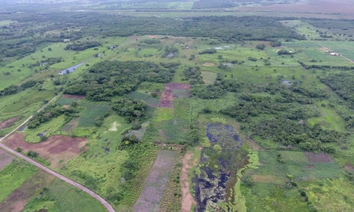 Imagem aérea do sítio maia Aguada Fenix, ​no Estado de Tabasco, no México