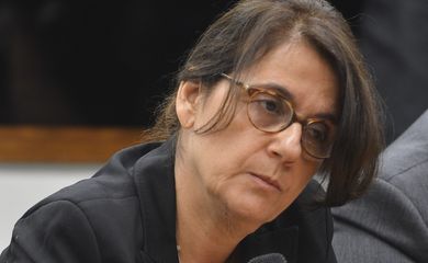 Brasília - A Comissão Parlamentar de Inquérito que investiga irregularidades no Carf faz audiência pública para ouvir a sócia da empresa Marcondes e Mautoni Empreendimentos Ltda, Cristina Mautoni Marcondes Machado (Antonio Cruz/Agência