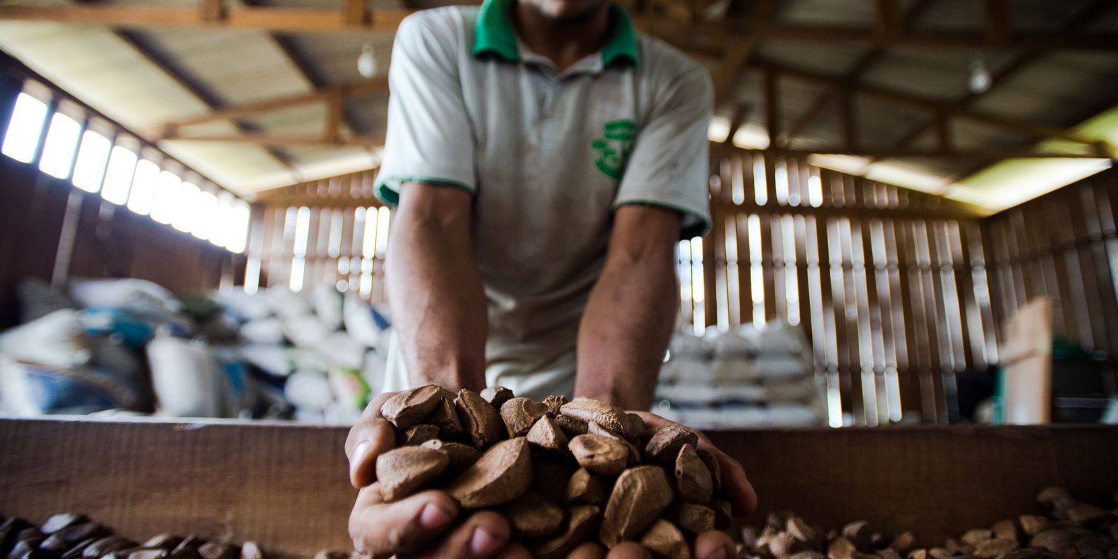 Extrativistas querem que produtos tenham chancela de povo amazônico 3 Extrativistas querem que produtos tenham chancela de povo amazônico