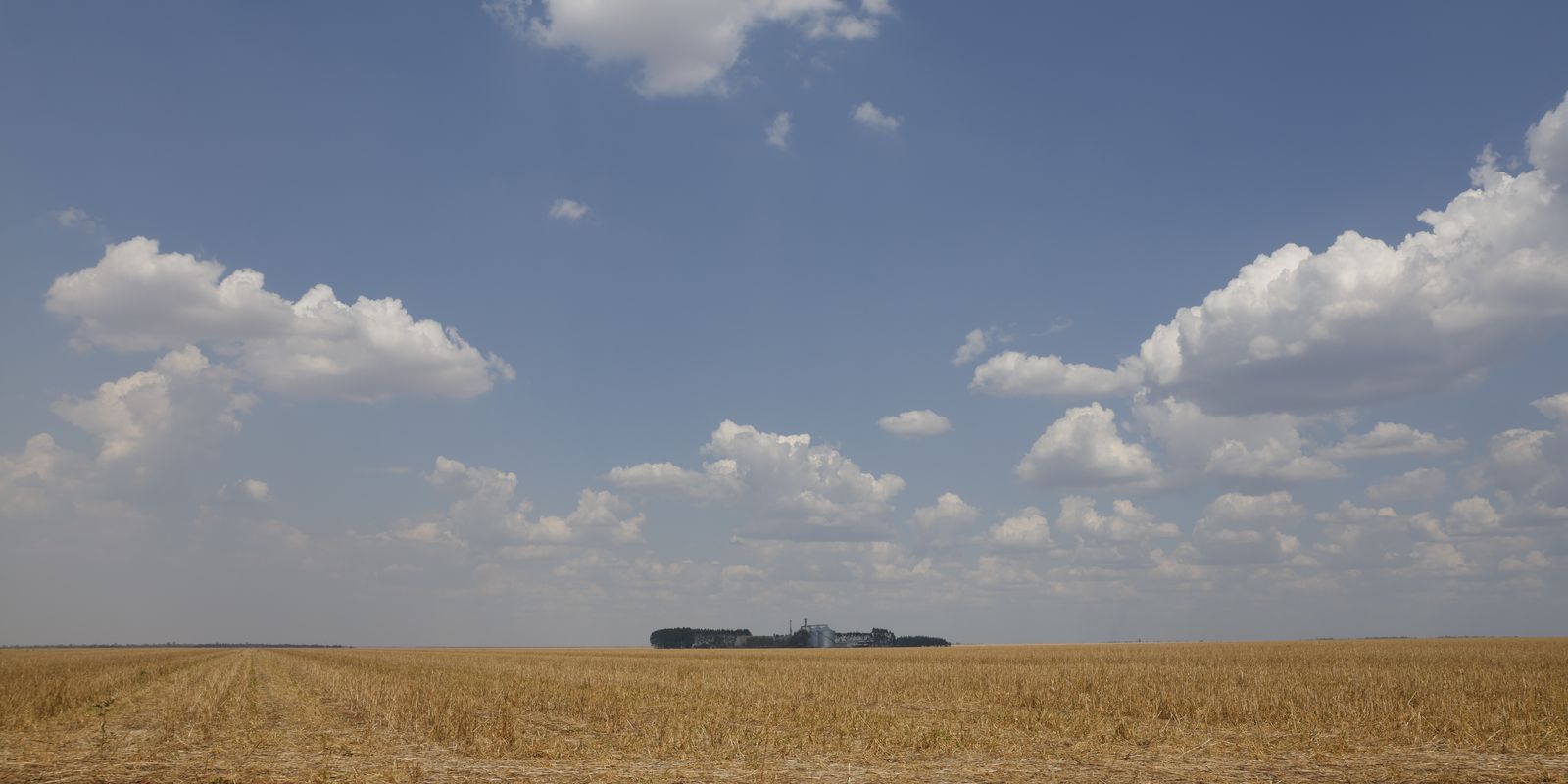 Agronegócio no Cerrado: Impulsiona a Economia, Mas Provoca Desmatamento e Crise Hídrica