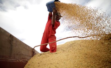 Trabalhador movimenta grãos de soja em Campos Lindos (TO)
