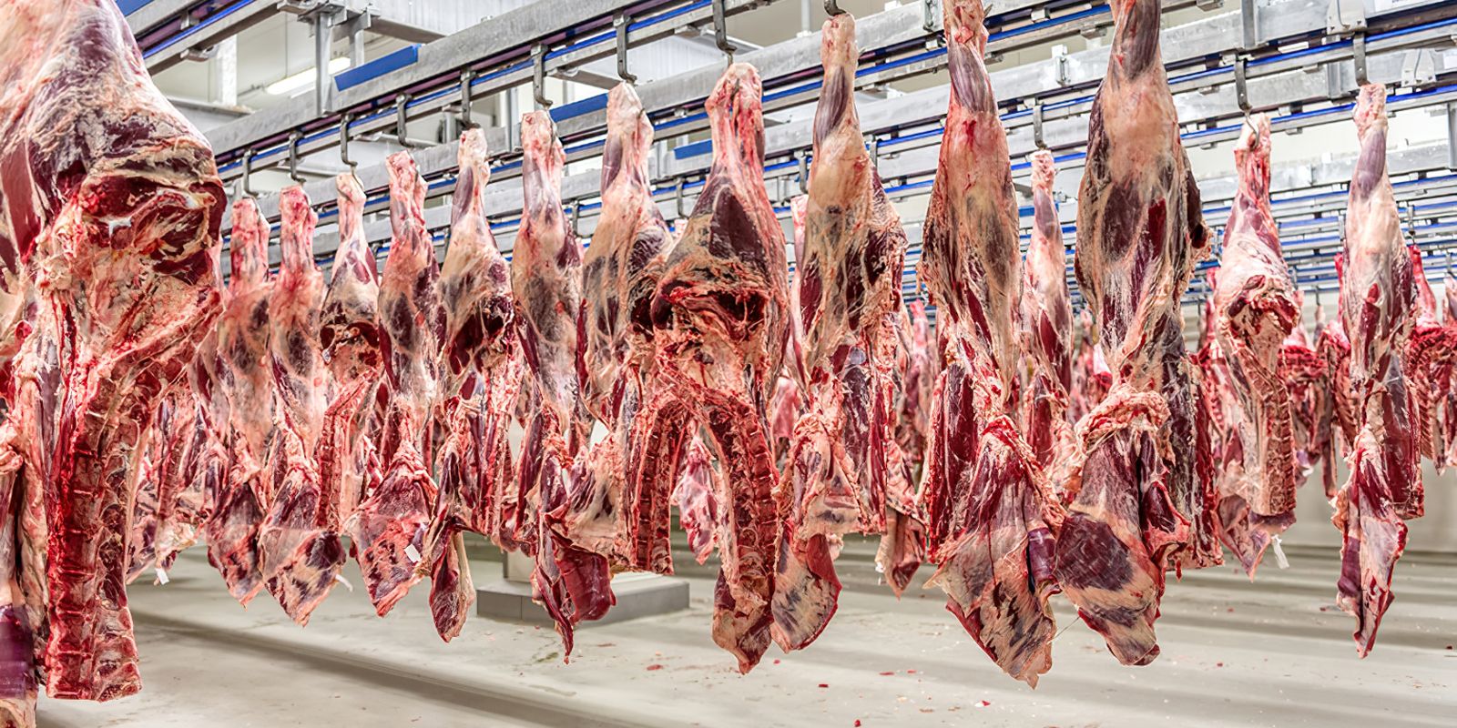 Empresas vão doar 2 milhões de quilos de carne ao RS