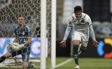 palmeiras, grêmio, copa do brasil