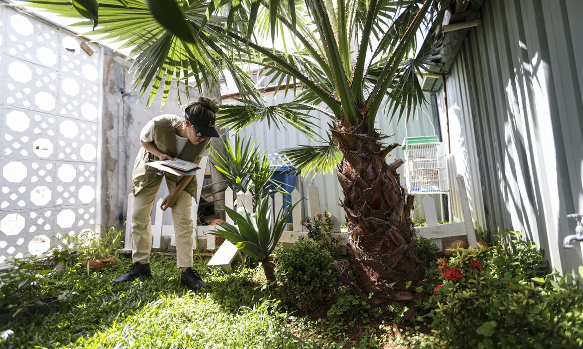 Marcelo Camargo/Agência Brasil Brasília (DF), 29/02/2024 - Agentes da vigilância ambiental do DF fiscalizam residências no Guará, região administrativa do DF, em busca de focos do mosquito transmissor da dengue. Foto: Marcelo Camargo/Agência Brasil
