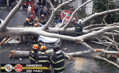 A queda de uma árvore sobre um veículo na tarde desta segunda-feira (1º) causou a morte de uma mulher na Vila Mariana, na capital paulista. 