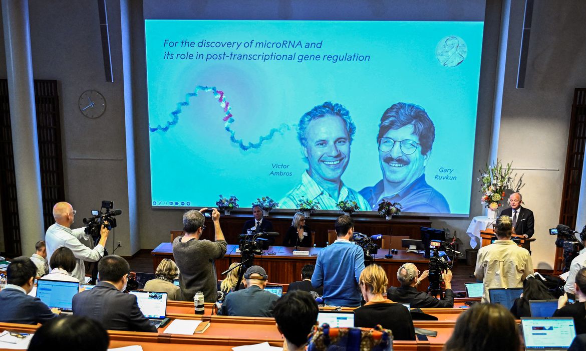 SOLNA, SWEDEN 20241007
Victor Ambros and Gary Ruvkun are awarded this year's Nobel Prize in Physiology or Medicine which was announced  during a press conference at the Karolinska Institute in Stockholm, Sweden, on October 7 , 2024. Olle Kämpe (R), who is professor of clinical endocrinology, explains their work at the press conference.
Photo: Christine Olsson / TT / Code 10430   TT News Agency/via REUTERS      ATTENTION EDITORS - THIS IMAGE WAS PROVIDED BY A THIRD PARTY. SWEDEN OUT. NO COMMERCIAL OR EDITORIAL SALES IN SWEDEN.