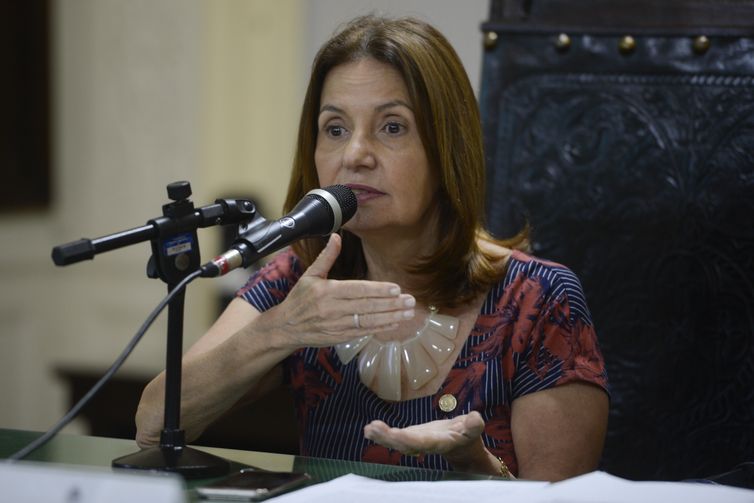  A presidente da Comissão Parlamentar de Inquérito (CPI) do Feminicídio, da Alerj, deputada Martha Rocha, fala durante apresentação do relatório.