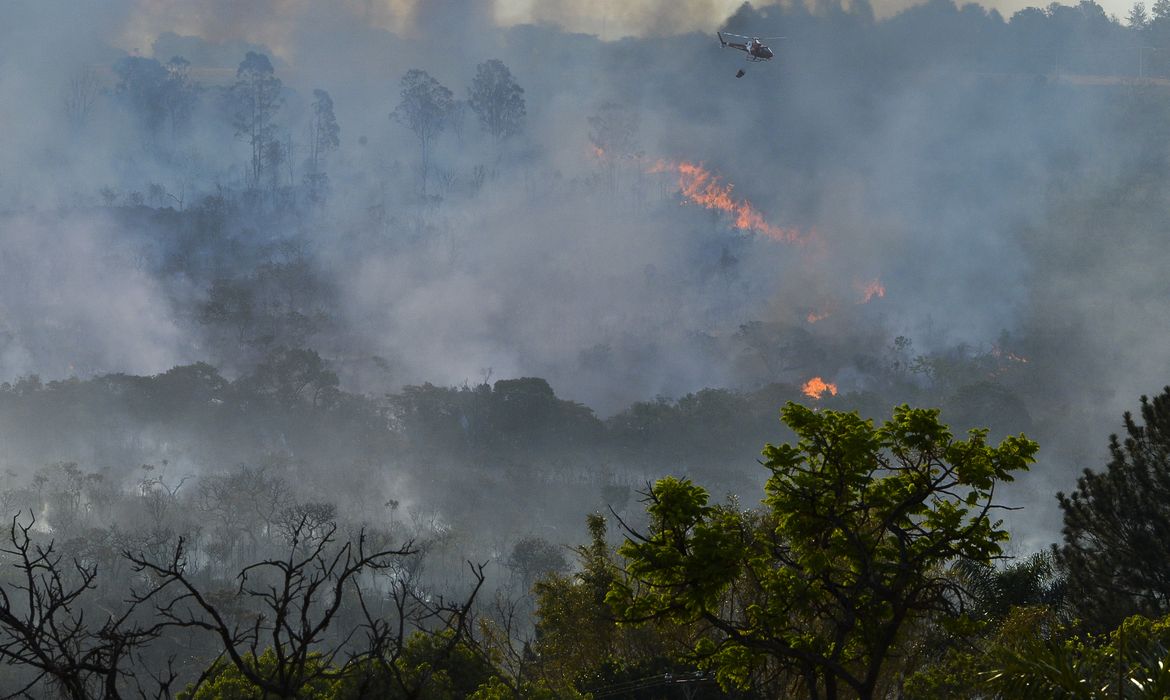 Incêndio atinge área de Cerrado em Brasília