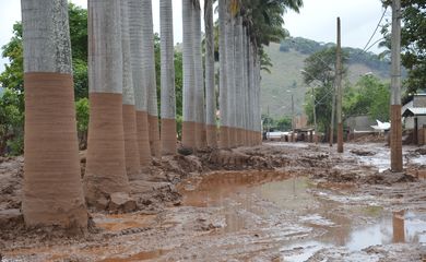 Barra Longa(MG) - A cidade de Barra Longa/MG, atingida pela enxurrada de lama tóxica proveniente do rompimento da barrragem tenta se recuperar dos transtornos causados pelo incidente (Antonio Cruz/Agência Brasil)