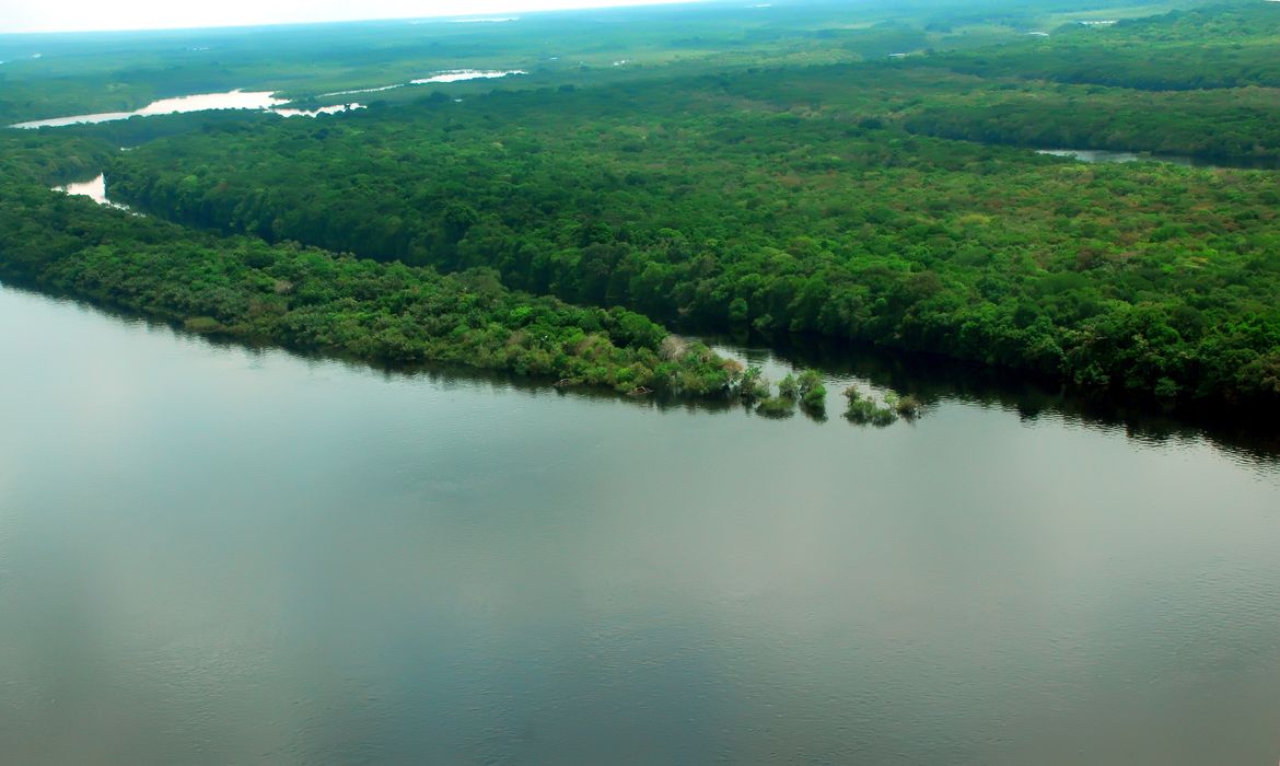 Força-Tarefa da Amazônia: AGU obtém bloqueio de R$ 18, 8 milhões em bens de desmatadores