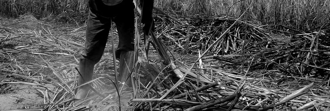 Trabalhador rural na lavoura de cana-de-açúcar