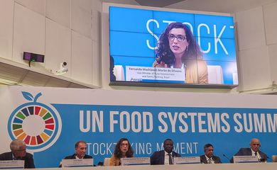 Cúpula dos Sistemas Alimentares das Nações Unidas, Fernanda Machiaveli, Ministério do Desenvolvimento Agrário MDA