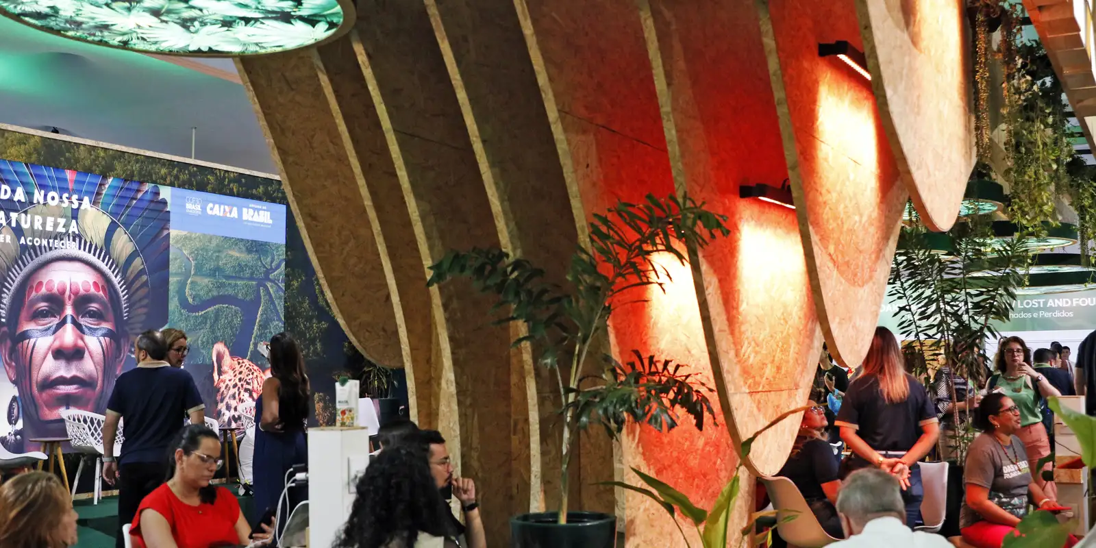 COP30 discute meios de aumentar o número de árvores nas cidades