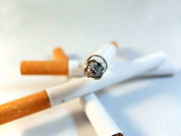 Cigarro 