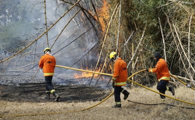 Brasília - Bombeiros combatem o fogo no Parque Ecológico Águas Claras (CBMDF/Divulgação)