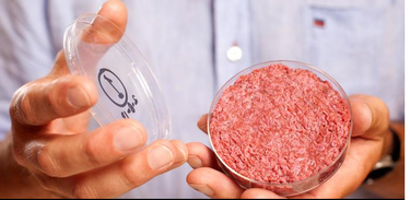 O que trava a produção de carne artificial? 