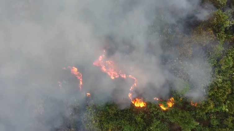 Agro Nacional visita fazenda em Mato Grosso do Sul que tem sofrido muito com queimadas