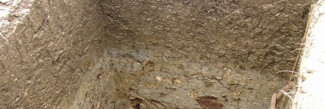 Fóssil foi encontrado no Ceará