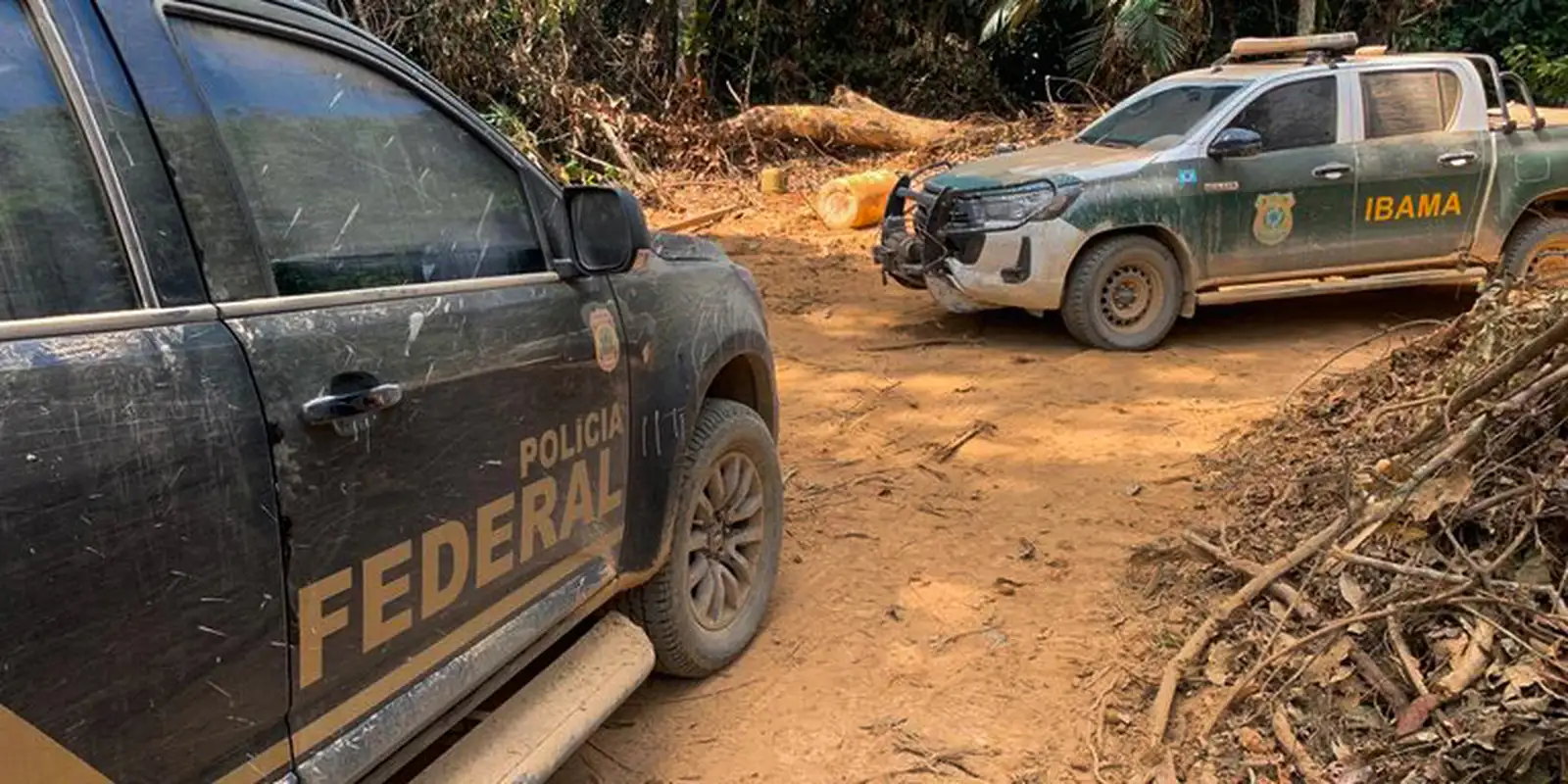 Servidores do Meio Ambiente aprovam greve para a próxima segunda (24)