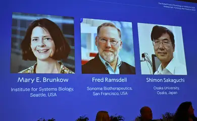 Mary E Brunkow, Fred Ramsdell and Shimon Sakaguchi are awarded this year's Nobel Prize in Medicine or Physiology.
The Nobel Assembly at Karolinska Institutet announced the Nobel Prize in Physiology or Medicine on October 6, 2025, in Stockholm, Sweden.
TT News Agency/Claudio Bresciani via REUTERS ATTENTION EDITORS - THIS IMAGE WAS PROVIDED BY A THIRD PARTY. SWEDEN OUT. NO COMMERCIAL OR EDITORIAL SALES IN SWEDEN.