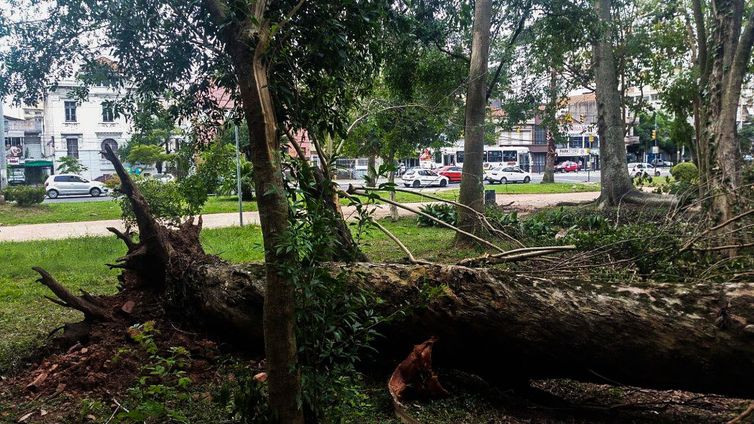 Porto Alegre - Após cinco dias de trabalho para recuperação dos estragos causados pelo temporal da última sexta-feira (29), alguns parques da cidade continuam devastados (Daniel Isaia/Agência Brasil)