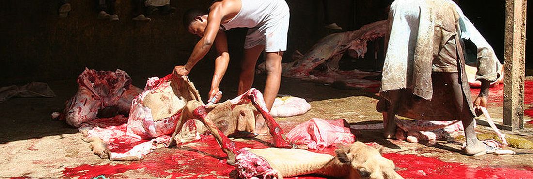 Trabalhadores da indústria da carne registram muitos problemas de coluna, como a lordose.