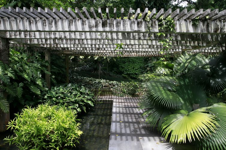 Tânia Rêgo/Agência Brasil O Sítio Roberto Burle Marx, em Barra de Guaratiba, na zona oeste do Rio de Janeiro, se prepara para a nova fase da candidatura do local a Patrimônio Mundial pela Unesco.
