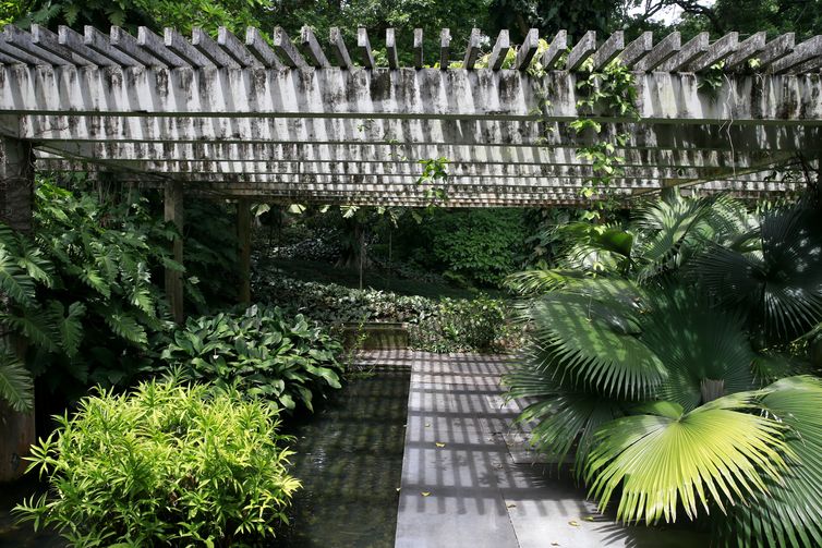 O Sítio Roberto Burle Marx, em Barra de Guaratiba, na zona oeste do Rio de Janeiro, se prepara para a nova fase da candidatura do local a Patrimônio Mundial pela Unesco.