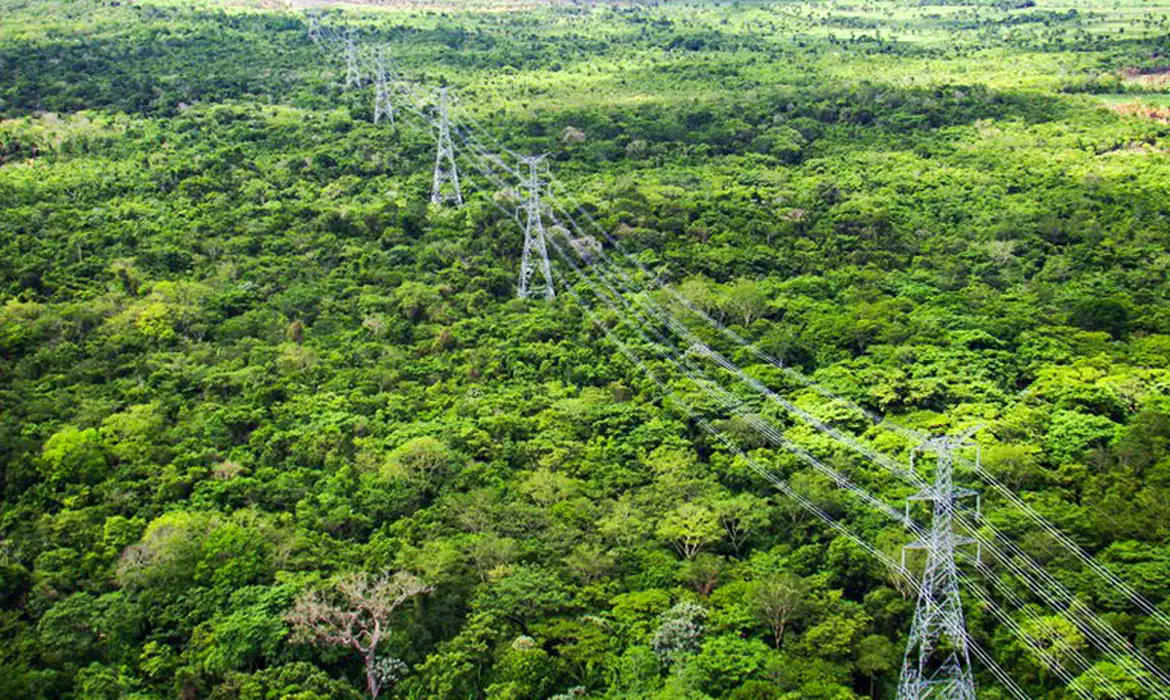 Tucurui -  Linhão de Tucuruí chega a municípios isolados do Amazonas e do Pará. 
Foto: PAC/Divulgação
