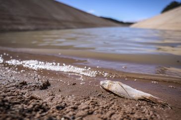 Obras do Cinturão das Águas do Ceará, parte do Projeto de Integração do São Francisco./Marcelo Camargo/Agência Brasil Obras do Cinturão das Águas do Ceará, parte do Projeto de Integração do São Francisco.