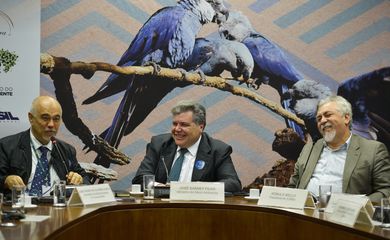 Brasília - O representante do MMA, José Carlos Oliveira da Costa (E), o ministro Sarney Filho e o presidente do ICMBio, Rômulo Mello, na assinatura de parceria em defesa da ararinha-azul  (José Cruz/Agência Brasil)