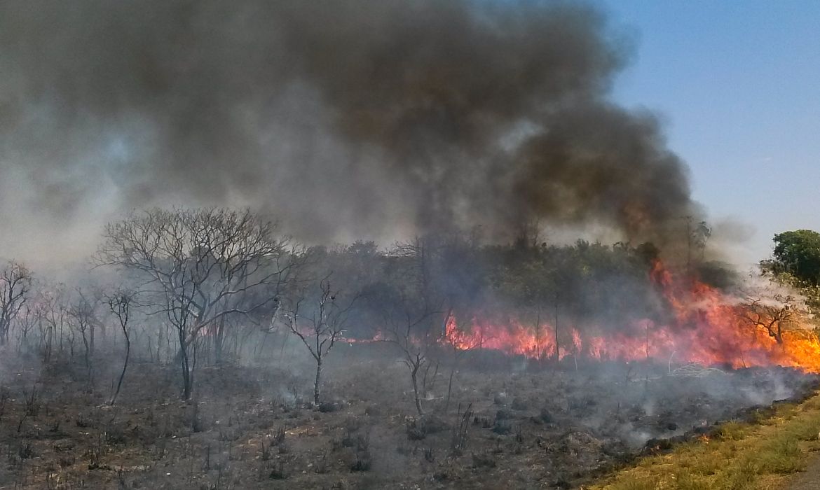 O Cerrado sofre com as queimadas neste período de estiagem,  a baixa umidade no DF no fim de semana levou a Defesa Civil a declarar estado de emergência na capital(Jose Cruz/Agência Brasil)