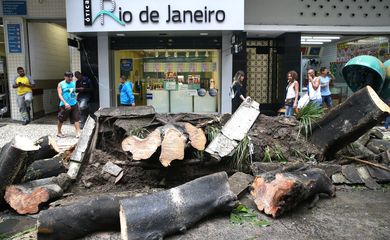 Temporal causa danos na cidade do Rio de Janeiro. Na zona sul várias árvores caíram atingindo calçadas e carros.