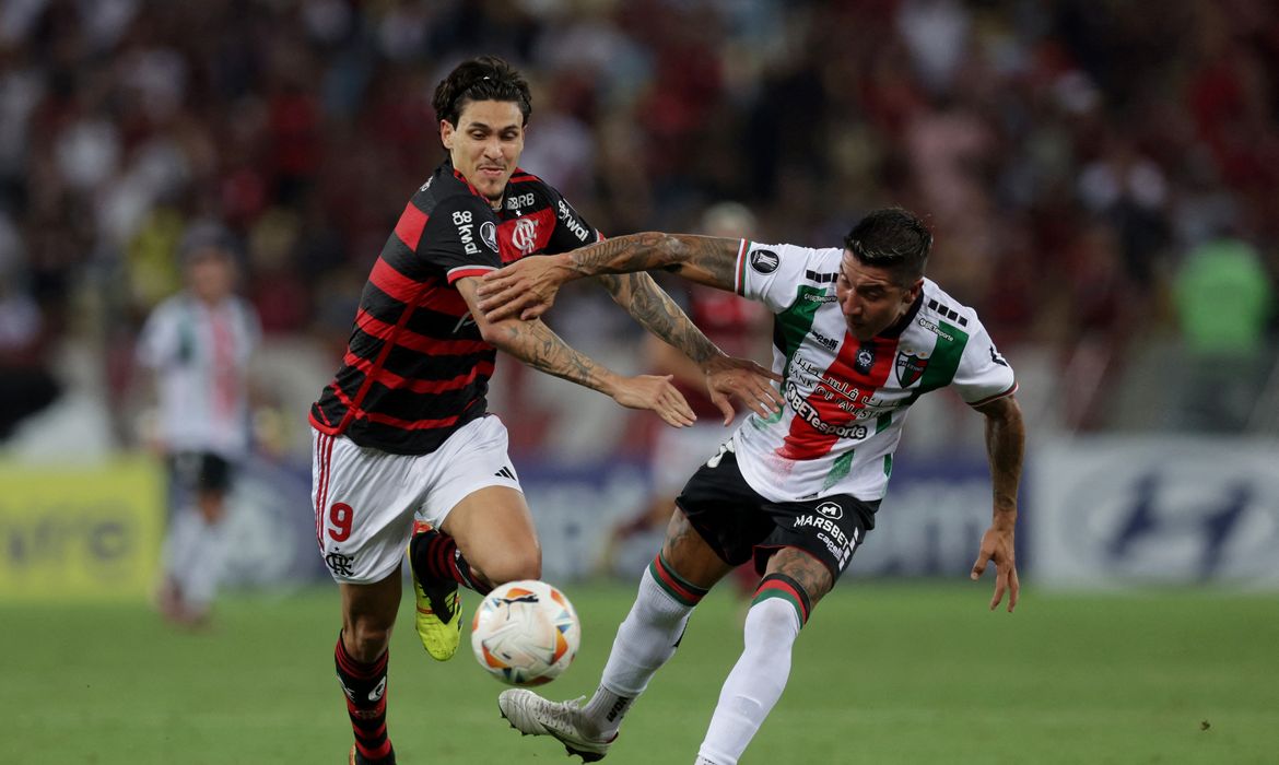 flamengo, palestino, libertadores