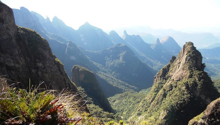 Serra dos Órgãos