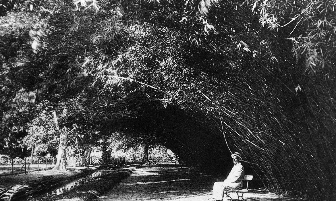 Aleia de Bambus, Jardim Botânico do Rio de Janeiro, 1922


