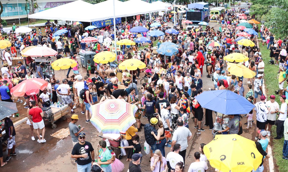 Valter Campanato/Agência Brasil Brasília, (DF) – 10/02/2024 – Carnaval de rua, Galinho de Brasília. Foto Valter Campanato/Agência Brasil.