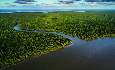 Rio de Janeiro (RJ), 29/10/2025 – Exposição Manguezal.
Foto: Enrico Marone/Divulgação