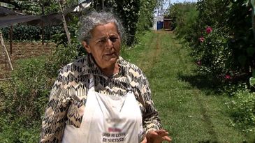 Dona Sebastiana voltou a trabalhar com agricultura depois de se aposentar, graças ao projeto Cidades sem fome