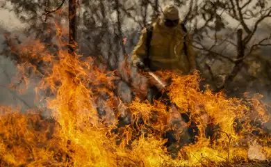 Brasília (DF), 24/08/2024 - Brigadistas do Instituto Brasília Ambiental e Bombeiros do Distrito Federal combatem incêndio em área de cerrado próxima ao aeroporto de Brasília. Foto: Marcelo Camargo/Agência Brasil
